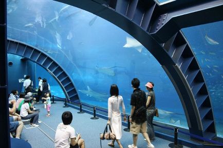 Най-големите аквариуми в света