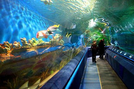 Най-големият аквариум в света на размери, разполага