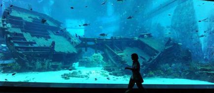 Най-големият аквариум в света на размери, разполага