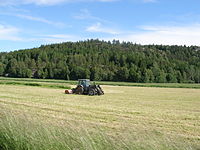 Селско стопанство - studopediya