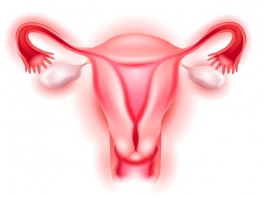 Шийката на матката преди менструация при допир, изглежда и какво трябва да бъде