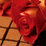 Шоколадови ползи и вреди, съставът на шоколад, шоколад диета за отслабване - женско списание