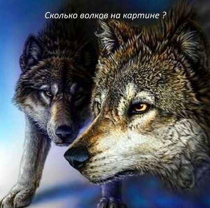 Комплекс пъзели (комплекс) сложни пъзели