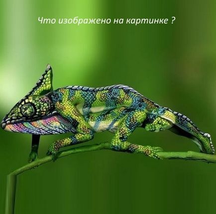 Комплекс пъзели (пъзели) сложни пъзели