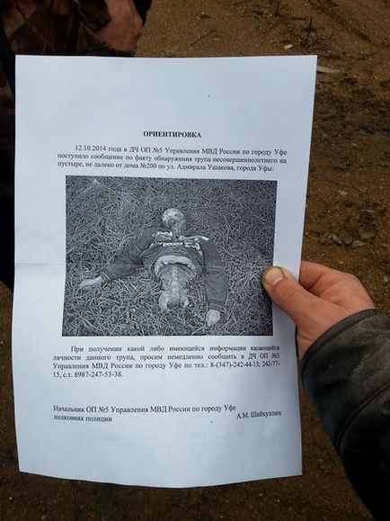 Кучета - канибали бездомни кучета разкъсаха момчето в Уфа и нападнали детето в Воронеж - убийство