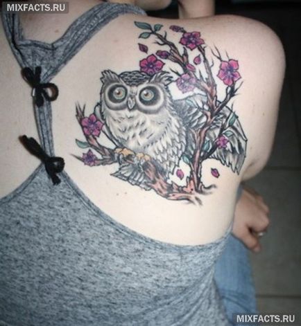 Owl татуировка значение и снимки