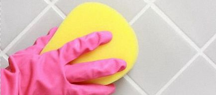 Специални и народни средства за защита, които почистват плочките в банята на разводите с плаките и сапун