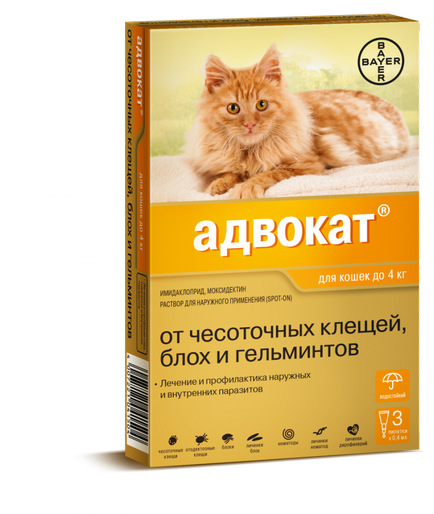 Средства адвокат за кучета и котки - прегледи, стойност и инструкции за употреба