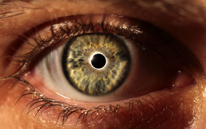 Структурата на човешкото око, който включва