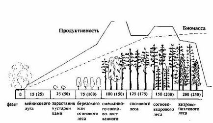 Сукцесия система - studopediya