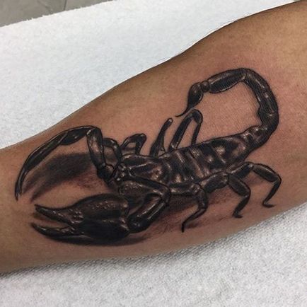 Scorpion татуировка - стойност и снимка скорпион татуировка