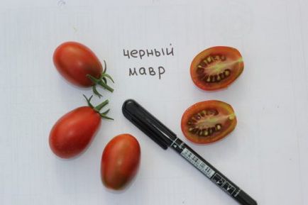 Домат Черно Moor описание на сорта домати