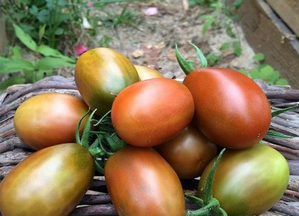 Домат Черно Moor, домати и мнения със снимки, характеристика и описание на сорта