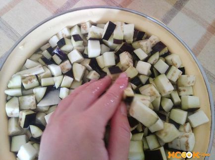 Задушени патладжани с картофи - рецепта с домати и други зеленчуци (патладжан, задушено с картофи) Задушени патладжани с картофи - рецепта с домати и други зеленчуци