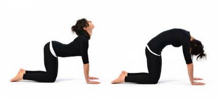 Упражнения за разтягане на гърба, че е лесно да се разтегнете мускулите на гърба