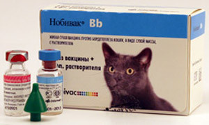 Nobivac ваксина за котки - преглед на потребителя, цена