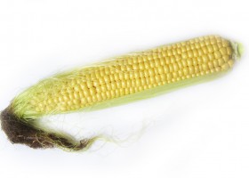 Варена царевица - калории, полезни свойства и вреди