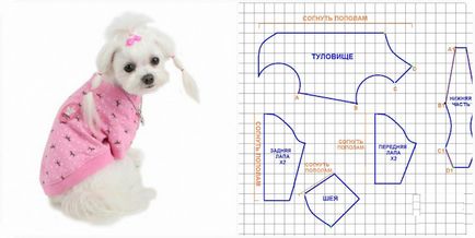 шаблоните за дрехи за кучета дребни породи като бод на дрехи (снимка)