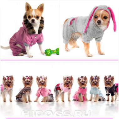 шаблоните за дрехи за кучета дребни породи като бод на дрехи (снимка)