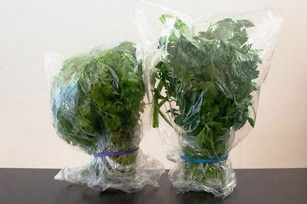 Отглеждане на зеленчуци в оранжерията за себе си и като бизнес