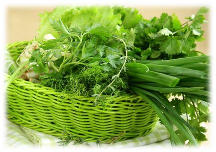 Отглеждане на зеленчуци в оранжерията като бизнес за продажба магданоз, копър и чесън през зимата, как да растат