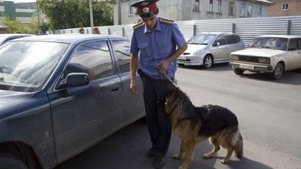 Виртуален клуб - клуб на любителите на обслужване кучета доказателство клас