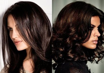 Цвят на косата мока - които отговарят на бои, отзиви, снимки преди и след