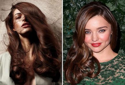 Цвят на косата мока - които отговарят на бои, отзиви, снимки преди и след