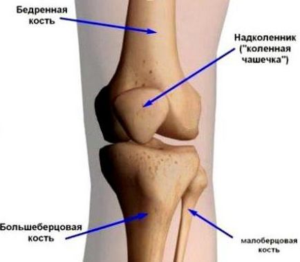 Chondromalacia коляното причини, симптоми, диагностика и лечение,