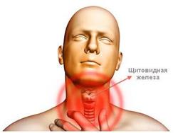 Заболявания на щитовидната жлеза при мъжете, както и техните симптоми