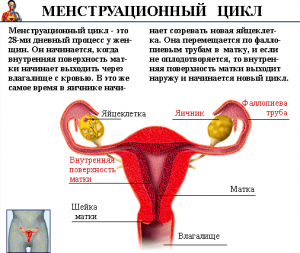 Защо момичетата се нуждаят от месечния просто обяснение