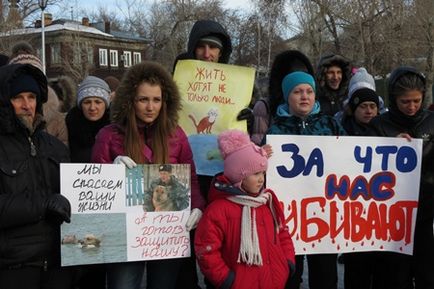 Защита на бездомно от бездушната 