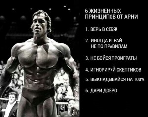 принципи на живота на човек, как да се намерят и приложат в живота си (принципи) принципи на живота на човек, как да се намерят и приложат в живота си