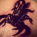Стойността на скорпион татуировка - смисъла, история, примерите