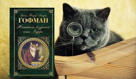 Топ 12 книги за котки - снимка животни