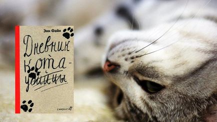 Топ 12 книги за котки - снимка животни