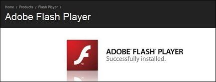 Какво да правите, ако приставката Shockwave Flash не реагира на Google Chrome (плъгин) Какво да правите, ако приставката Shockwave Flash не реагира на Google Chrome