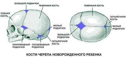 Каква е фонтанела при кърмачета сортове, времето на затваряне, определението на формата на заболяване