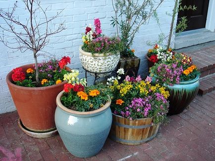 Цветя за вази - подбор и засаждане на мобилни градински растения