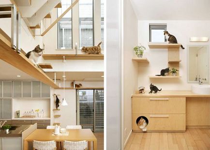 Дъждуване апартаменти за котки - снимка къща мечта