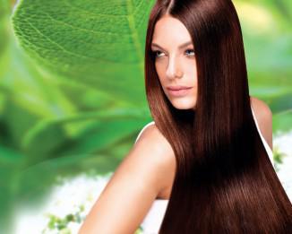 Мента етерично масло за hair- изпитани средства за женската красота