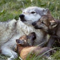 А хиперактивно дете, за да се образоват или лечение, училище майка за хиперактивни деца, хиперактивност при (хипер) А хиперактивно дете, за да се образоват или лечение, училище майка за хиперактивни деца, хиперактивност при