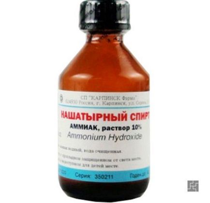 Гъбички апартамент се отървете от опасно, средства за извличане и други (плосък) Гъбички в апартамента Как да се отървем от опасно, средства за отстраняване и т.н.