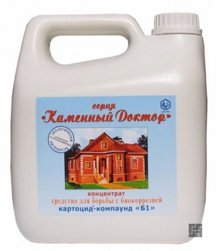 Гъбички апартамент се отървете от опасно, средства за извличане и т.н. (плесен) Гъбички в апартамента Как да се отървем от опасно, средства за отстраняване и т.н.