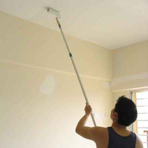 Както правилно, отколкото да се реабилитират тавана в къщата или апартамента, изберете валяк за замазване