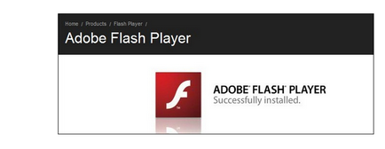 Как да се определи бъг Shockwave Flash в Google Chrome на