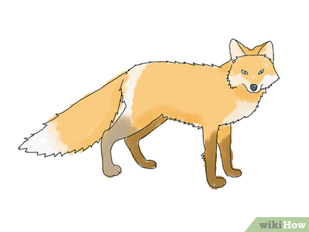 Как да се направи лисица 1