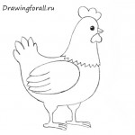 Как да се направи пиле