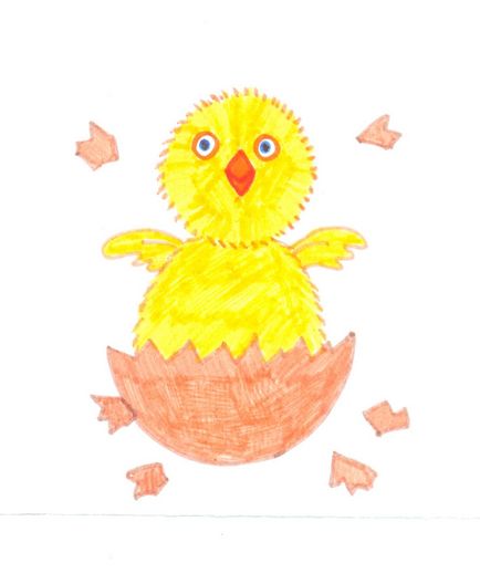 Как да се направи пиле - майсторски класове - детски рисунки на