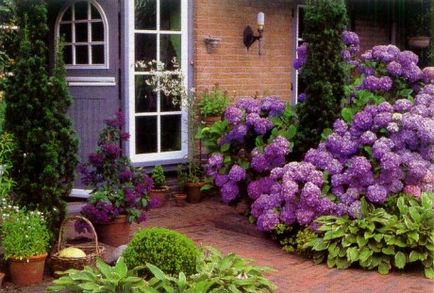Как да си направим градина пред къщата с идеите му ръце фото дизайн